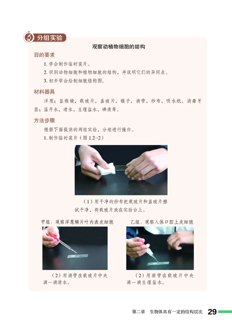 济南版7年级生物上册高清教材_4-教培资料-26年最新资料-同步更新_初中高中教资_03科三专项（进去保存报考的学科即可）_02科三专项（笔记真题思维导图教学设计版本二）