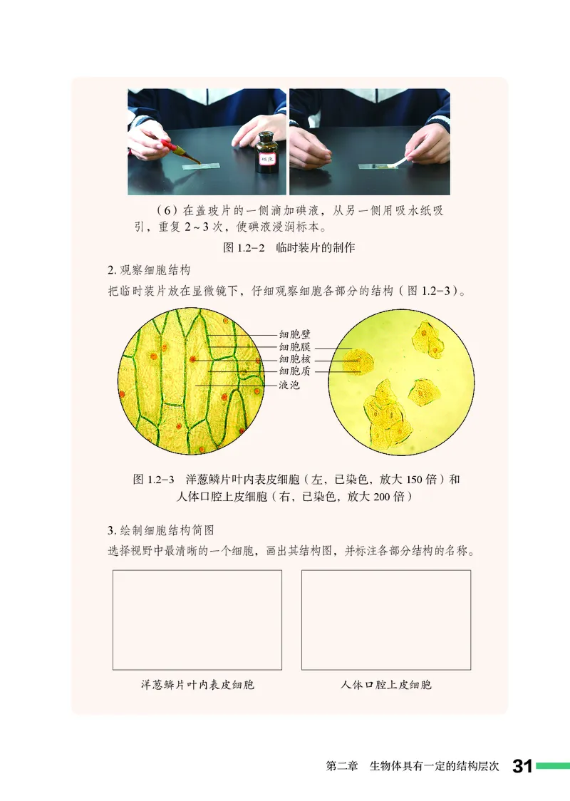 济南版7年级生物上册高清教材_4-教培资料-26年最新资料-同步更新_初中高中教资_03科三专项（进去保存报考的学科即可）_02科三专项（笔记真题思维导图教学设计版本二）