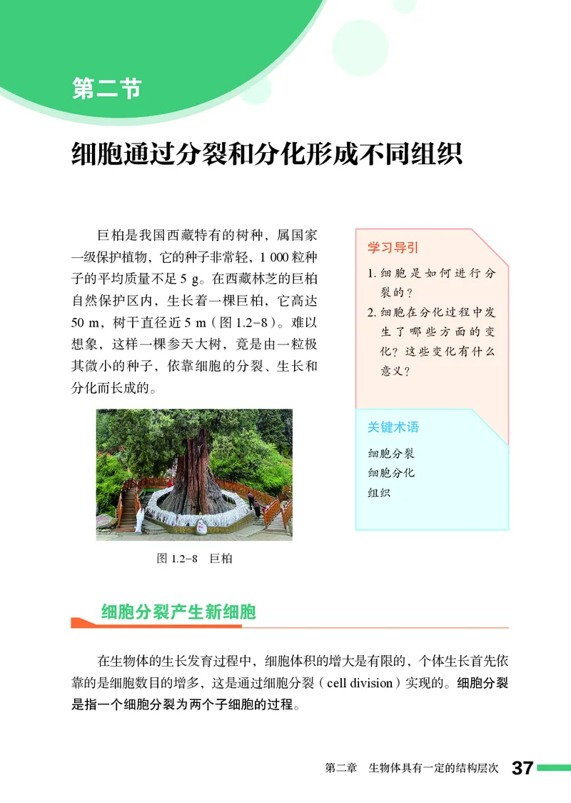 济南版7年级生物上册高清教材_4-教培资料-26年最新资料-同步更新_初中高中教资_03科三专项（进去保存报考的学科即可）_02科三专项（笔记真题思维导图教学设计版本二）