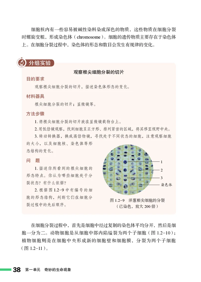 济南版7年级生物上册高清教材_4-教培资料-26年最新资料-同步更新_初中高中教资_03科三专项（进去保存报考的学科即可）_02科三专项（笔记真题思维导图教学设计版本二）