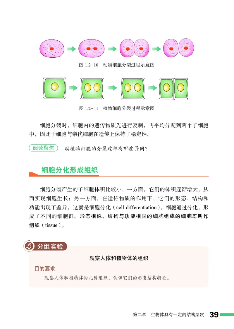 济南版7年级生物上册高清教材_4-教培资料-26年最新资料-同步更新_初中高中教资_03科三专项（进去保存报考的学科即可）_02科三专项（笔记真题思维导图教学设计版本二）