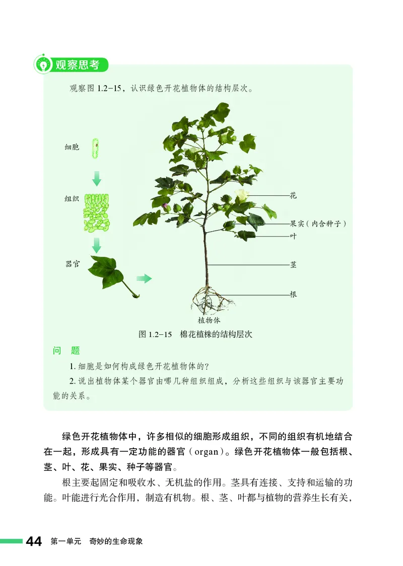 济南版7年级生物上册高清教材_4-教培资料-26年最新资料-同步更新_初中高中教资_03科三专项（进去保存报考的学科即可）_02科三专项（笔记真题思维导图教学设计版本二）