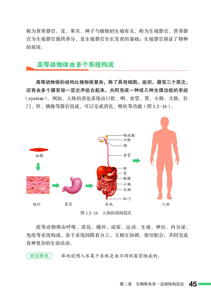 济南版7年级生物上册高清教材_4-教培资料-26年最新资料-同步更新_初中高中教资_03科三专项（进去保存报考的学科即可）_02科三专项（笔记真题思维导图教学设计版本二）