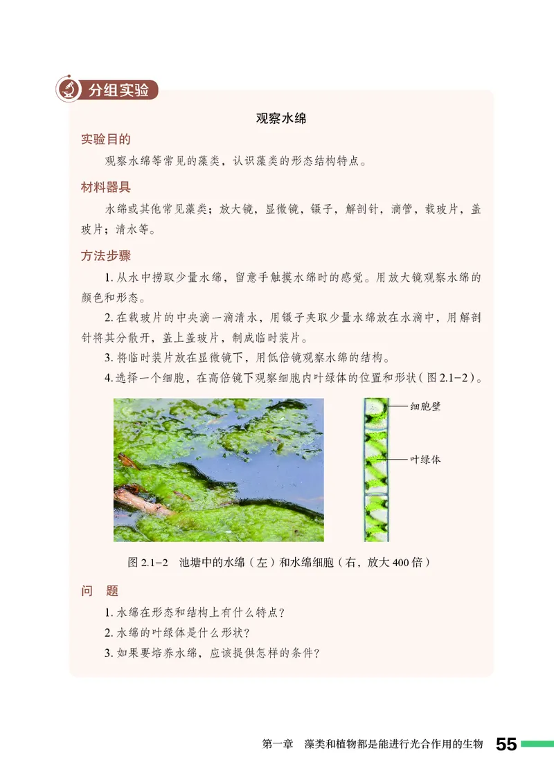 济南版7年级生物上册高清教材_4-教培资料-26年最新资料-同步更新_初中高中教资_03科三专项（进去保存报考的学科即可）_02科三专项（笔记真题思维导图教学设计版本二）