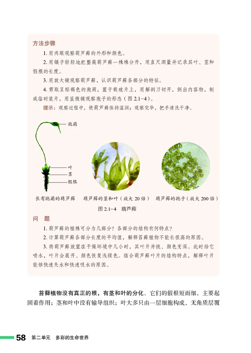 济南版7年级生物上册高清教材_4-教培资料-26年最新资料-同步更新_初中高中教资_03科三专项（进去保存报考的学科即可）_02科三专项（笔记真题思维导图教学设计版本二）