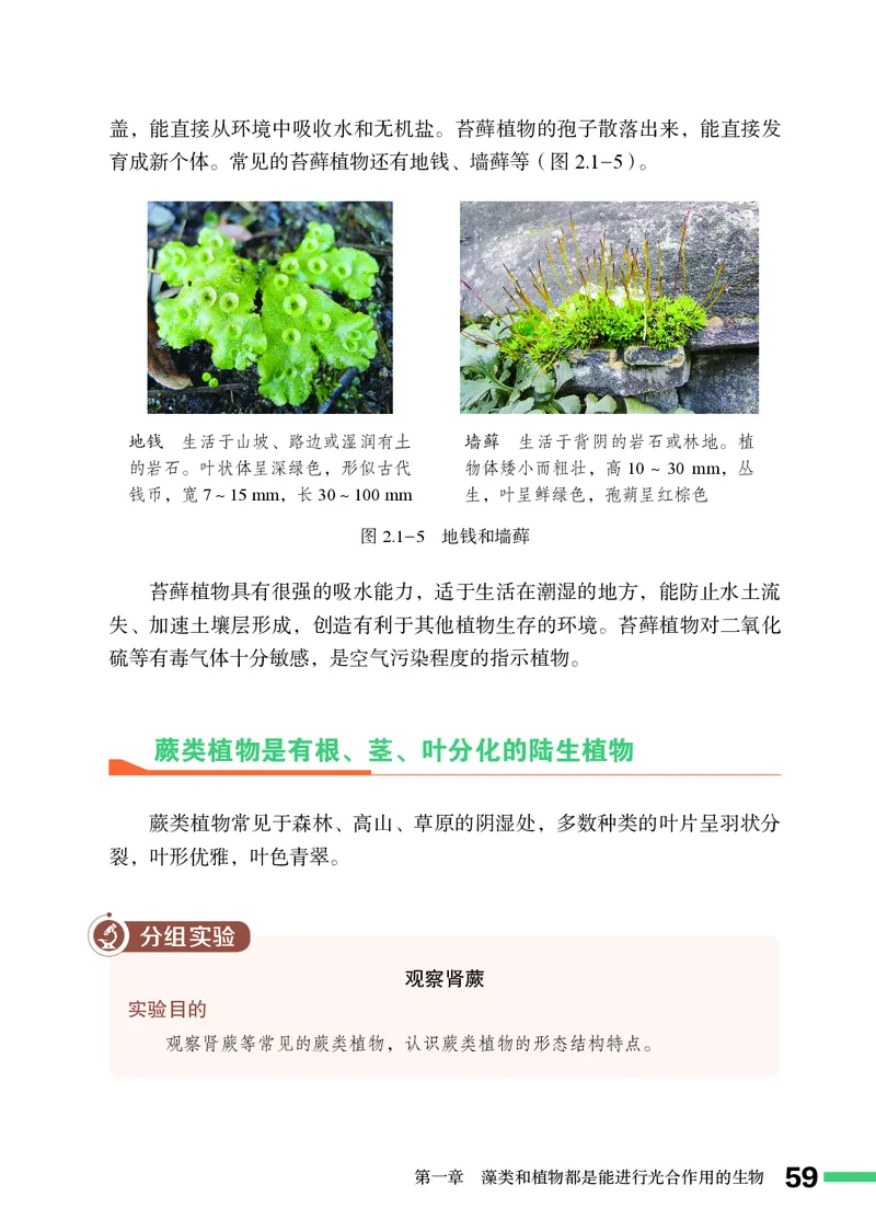 济南版7年级生物上册高清教材_4-教培资料-26年最新资料-同步更新_初中高中教资_03科三专项（进去保存报考的学科即可）_02科三专项（笔记真题思维导图教学设计版本二）