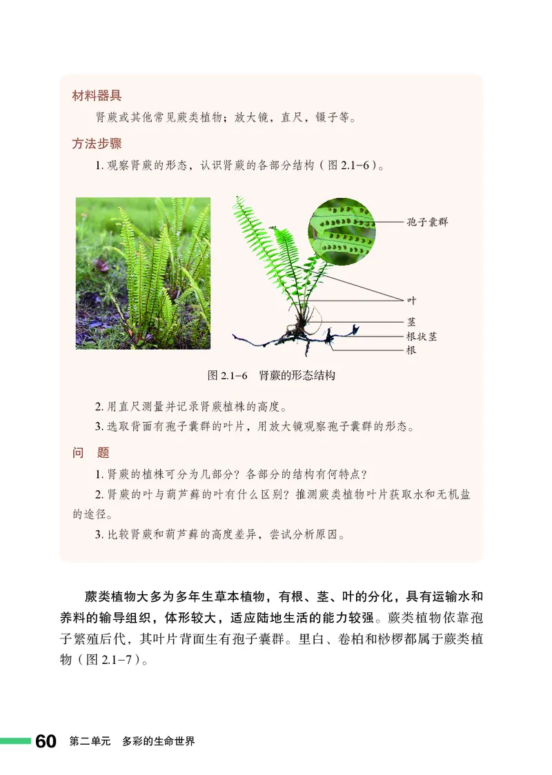 济南版7年级生物上册高清教材_4-教培资料-26年最新资料-同步更新_初中高中教资_03科三专项（进去保存报考的学科即可）_02科三专项（笔记真题思维导图教学设计版本二）