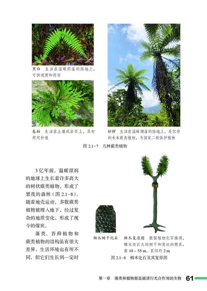 济南版7年级生物上册高清教材_4-教培资料-26年最新资料-同步更新_初中高中教资_03科三专项（进去保存报考的学科即可）_02科三专项（笔记真题思维导图教学设计版本二）