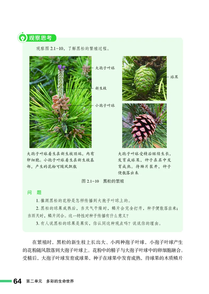 济南版7年级生物上册高清教材_4-教培资料-26年最新资料-同步更新_初中高中教资_03科三专项（进去保存报考的学科即可）_02科三专项（笔记真题思维导图教学设计版本二）