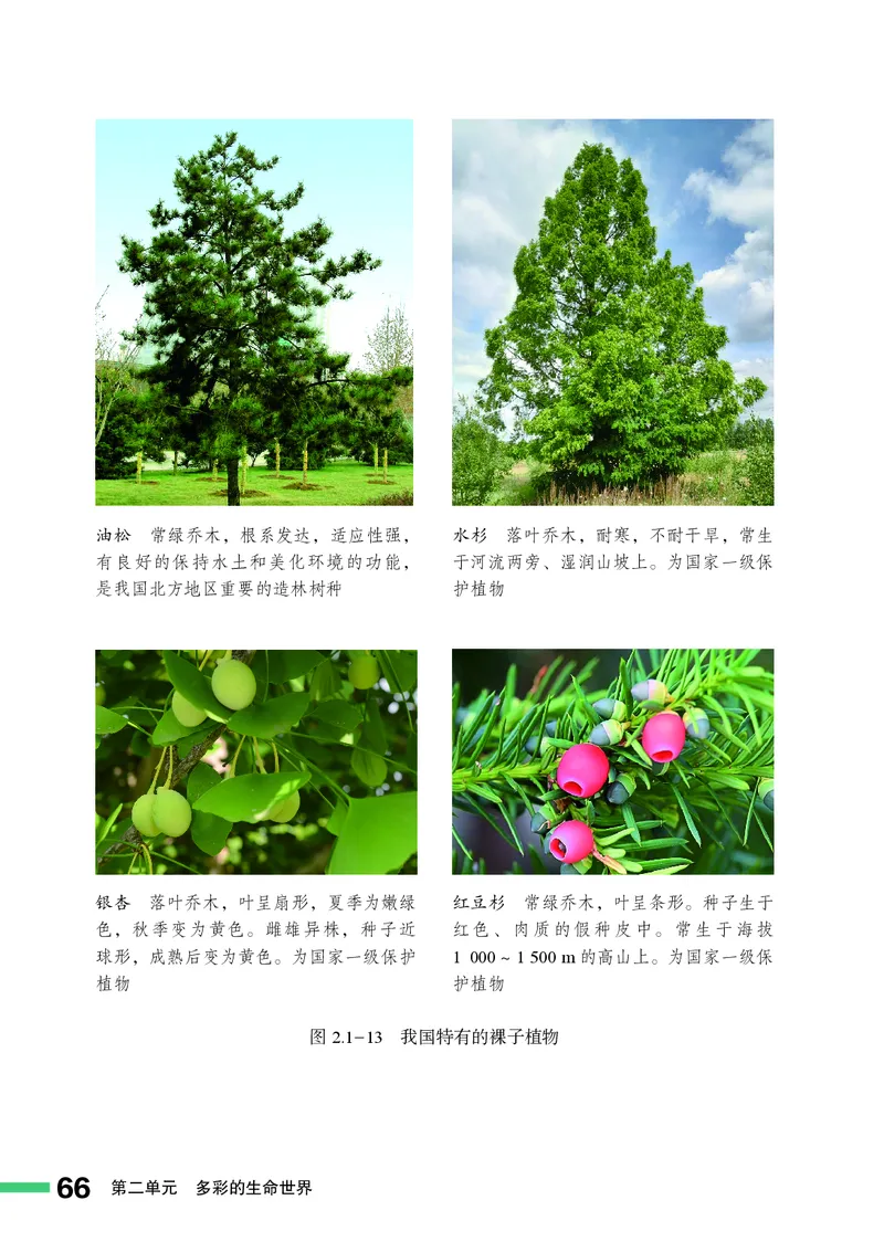 济南版7年级生物上册高清教材_4-教培资料-26年最新资料-同步更新_初中高中教资_03科三专项（进去保存报考的学科即可）_02科三专项（笔记真题思维导图教学设计版本二）