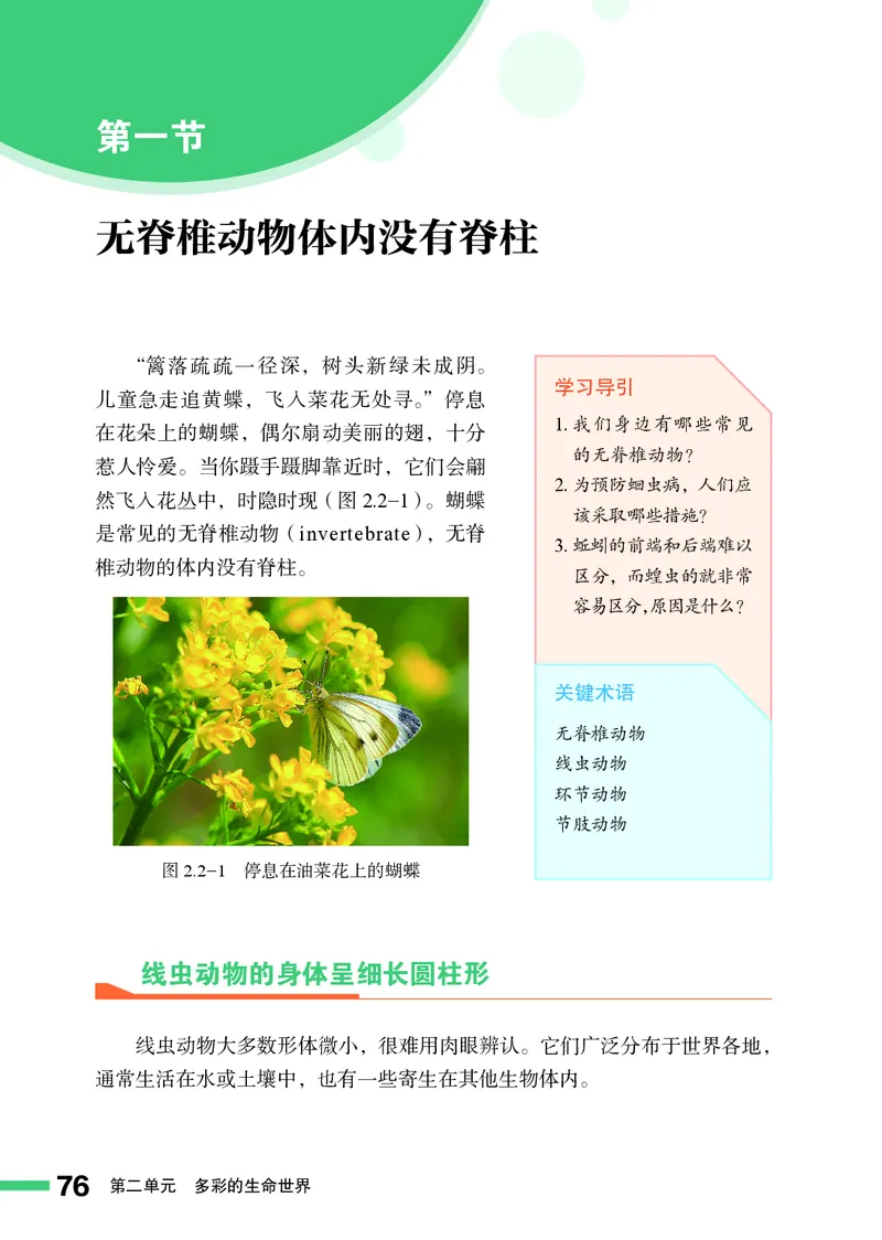 济南版7年级生物上册高清教材_4-教培资料-26年最新资料-同步更新_初中高中教资_03科三专项（进去保存报考的学科即可）_02科三专项（笔记真题思维导图教学设计版本二）