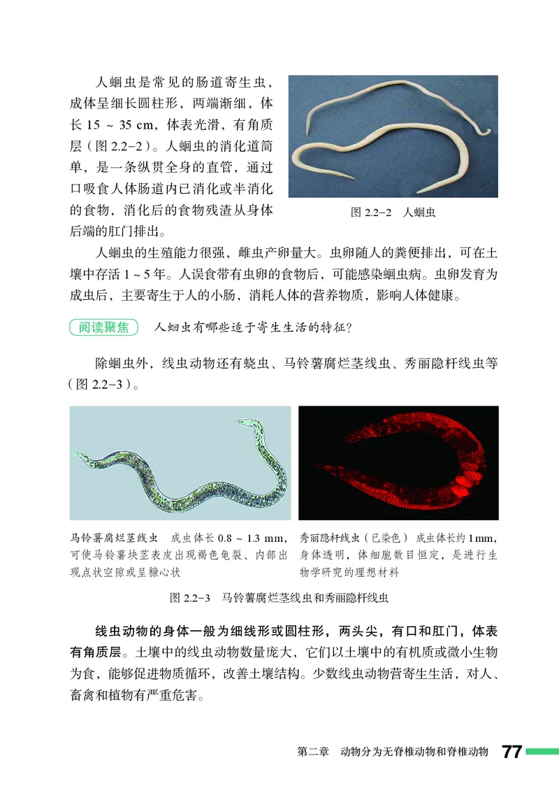 济南版7年级生物上册高清教材_4-教培资料-26年最新资料-同步更新_初中高中教资_03科三专项（进去保存报考的学科即可）_02科三专项（笔记真题思维导图教学设计版本二）