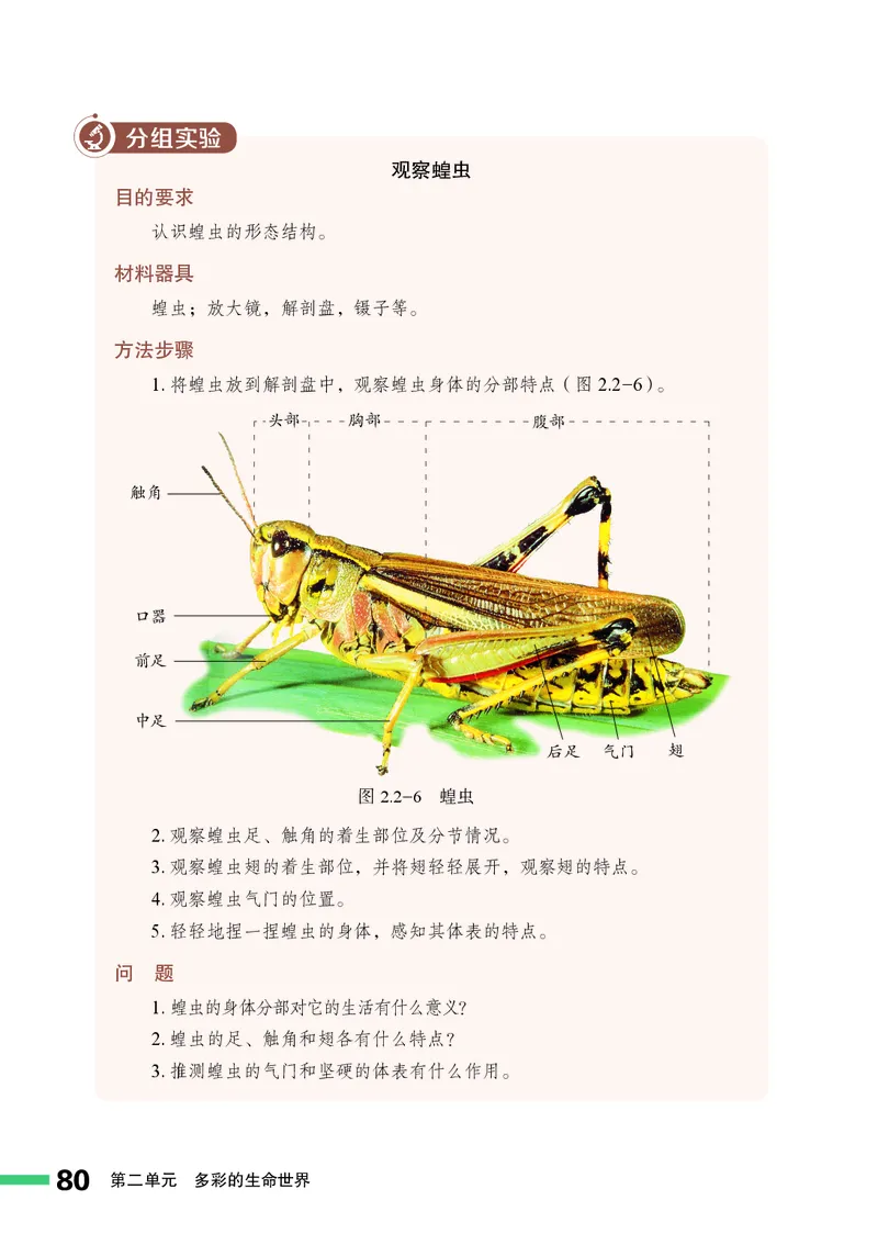 济南版7年级生物上册高清教材_4-教培资料-26年最新资料-同步更新_初中高中教资_03科三专项（进去保存报考的学科即可）_02科三专项（笔记真题思维导图教学设计版本二）