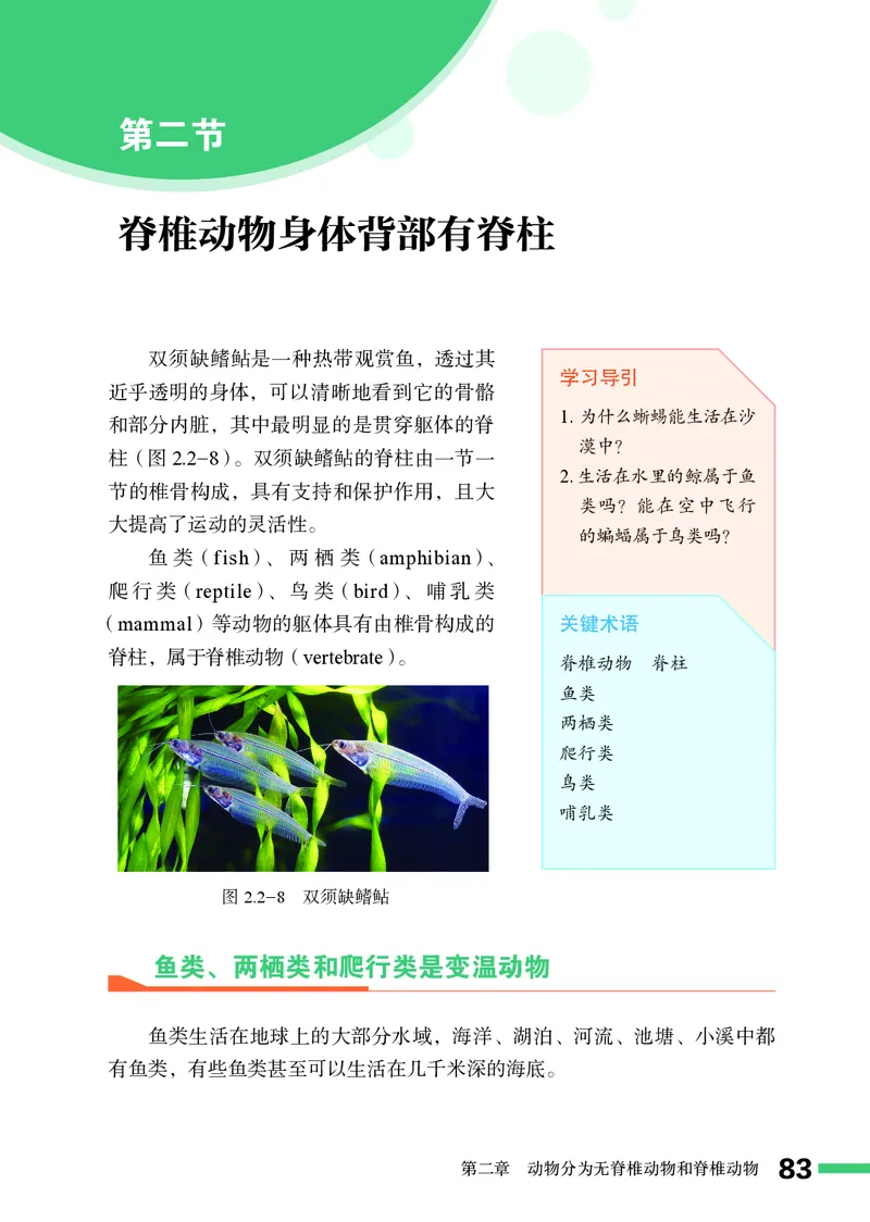 济南版7年级生物上册高清教材_4-教培资料-26年最新资料-同步更新_初中高中教资_03科三专项（进去保存报考的学科即可）_02科三专项（笔记真题思维导图教学设计版本二）