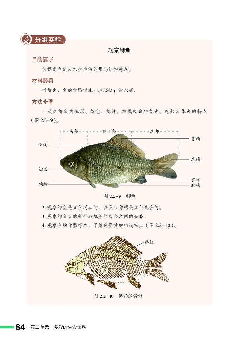 济南版7年级生物上册高清教材_4-教培资料-26年最新资料-同步更新_初中高中教资_03科三专项（进去保存报考的学科即可）_02科三专项（笔记真题思维导图教学设计版本二）