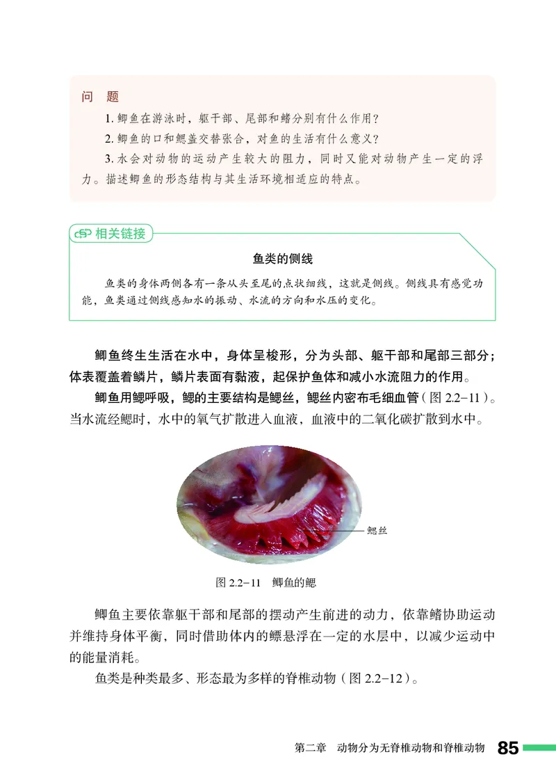 济南版7年级生物上册高清教材_4-教培资料-26年最新资料-同步更新_初中高中教资_03科三专项（进去保存报考的学科即可）_02科三专项（笔记真题思维导图教学设计版本二）