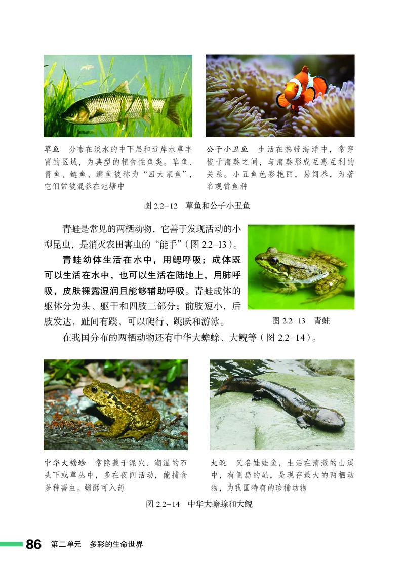 济南版7年级生物上册高清教材_4-教培资料-26年最新资料-同步更新_初中高中教资_03科三专项（进去保存报考的学科即可）_02科三专项（笔记真题思维导图教学设计版本二）