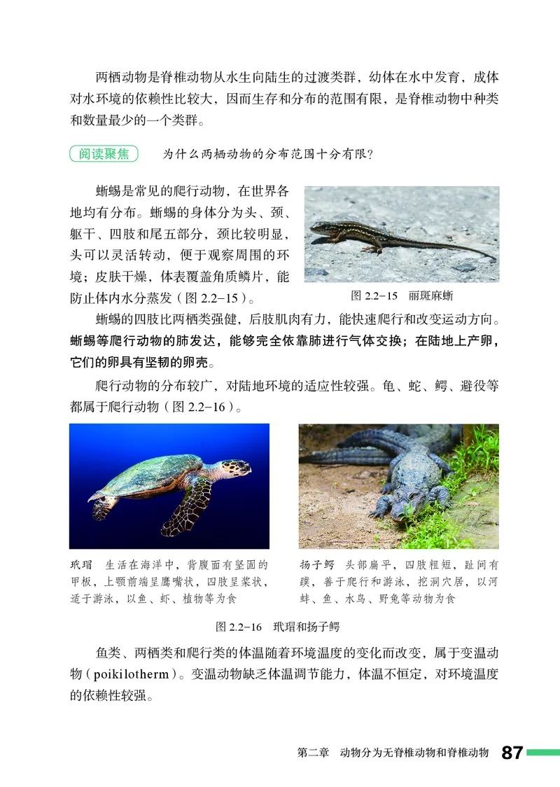 济南版7年级生物上册高清教材_4-教培资料-26年最新资料-同步更新_初中高中教资_03科三专项（进去保存报考的学科即可）_02科三专项（笔记真题思维导图教学设计版本二）