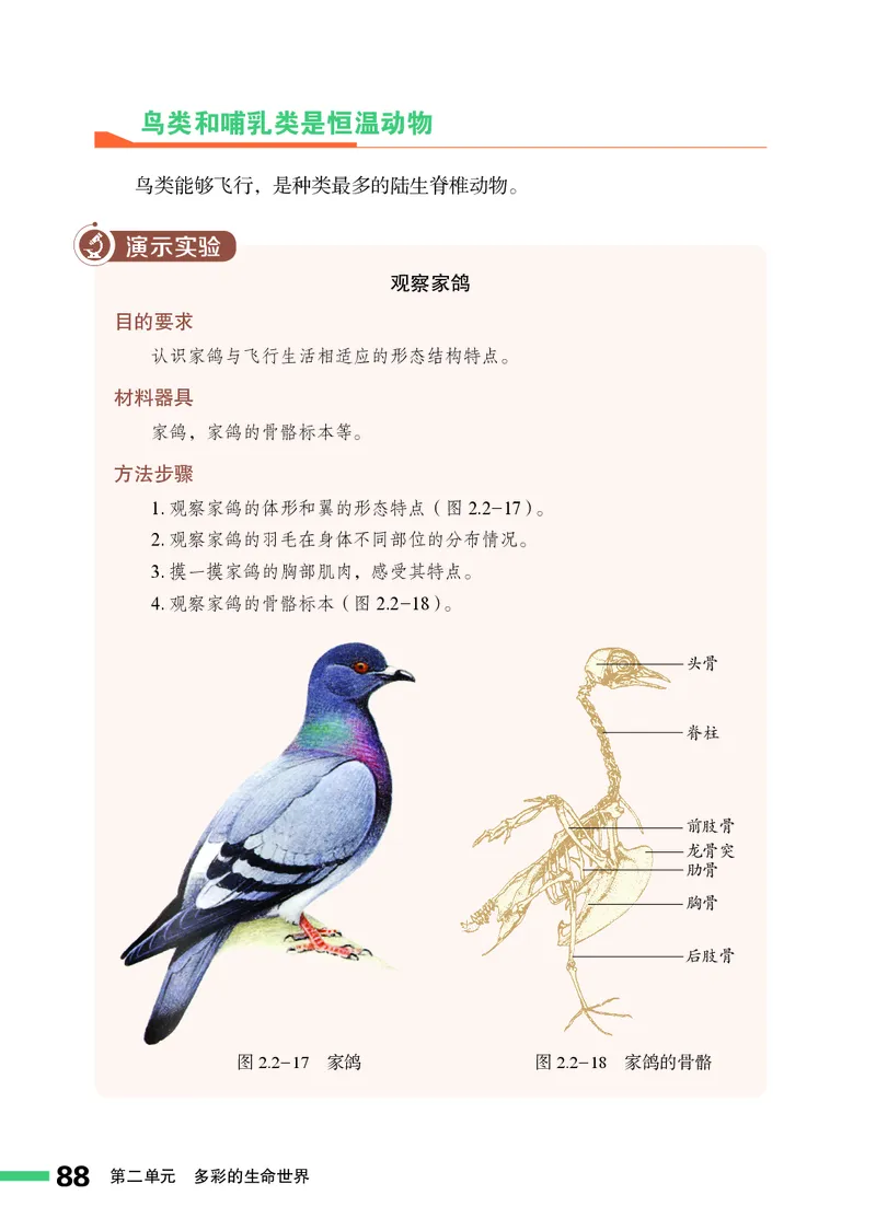 济南版7年级生物上册高清教材_4-教培资料-26年最新资料-同步更新_初中高中教资_03科三专项（进去保存报考的学科即可）_02科三专项（笔记真题思维导图教学设计版本二）