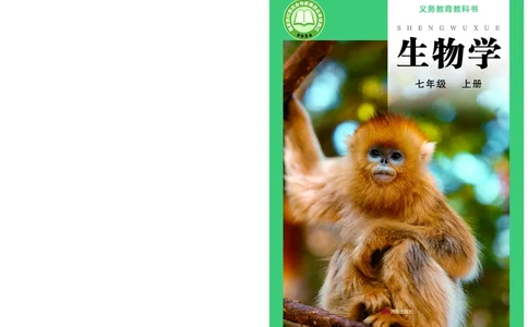 济南版7年级生物上册高清教材_4-教培资料-26年最新资料-同步更新_初中高中教资_03科三专项（进去保存报考的学科即可）_02科三专项（笔记真题思维导图教学设计版本二）