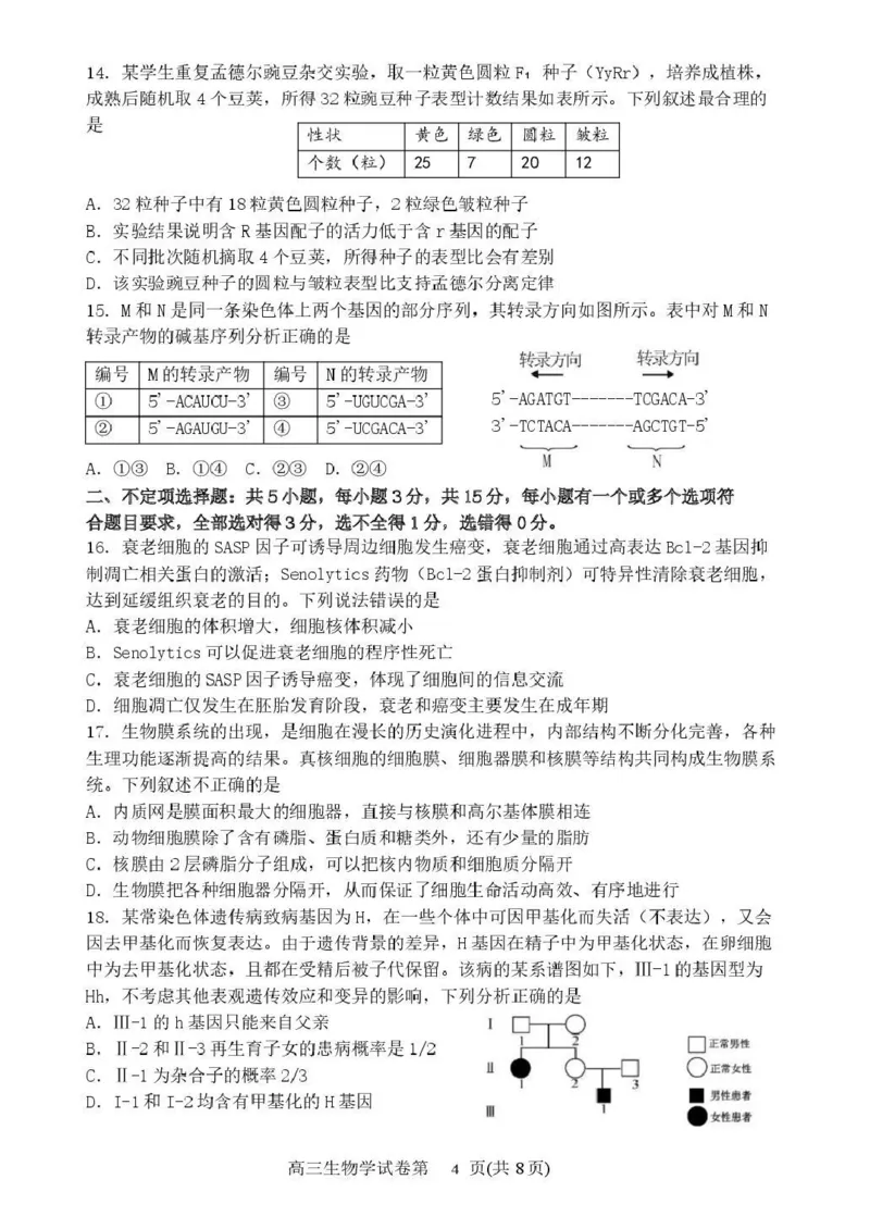丹东市2026届高三总复习阶段测试生物_251106辽宁省丹东市2026届高三上学期总复习阶段测试（全科）_辽宁省丹东市2026届高三上学期总复习阶段测试生物