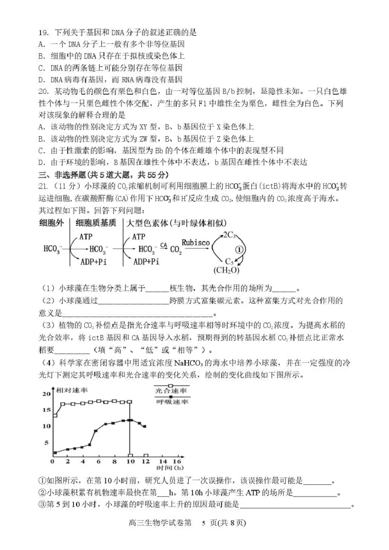 丹东市2026届高三总复习阶段测试生物_251106辽宁省丹东市2026届高三上学期总复习阶段测试（全科）_辽宁省丹东市2026届高三上学期总复习阶段测试生物
