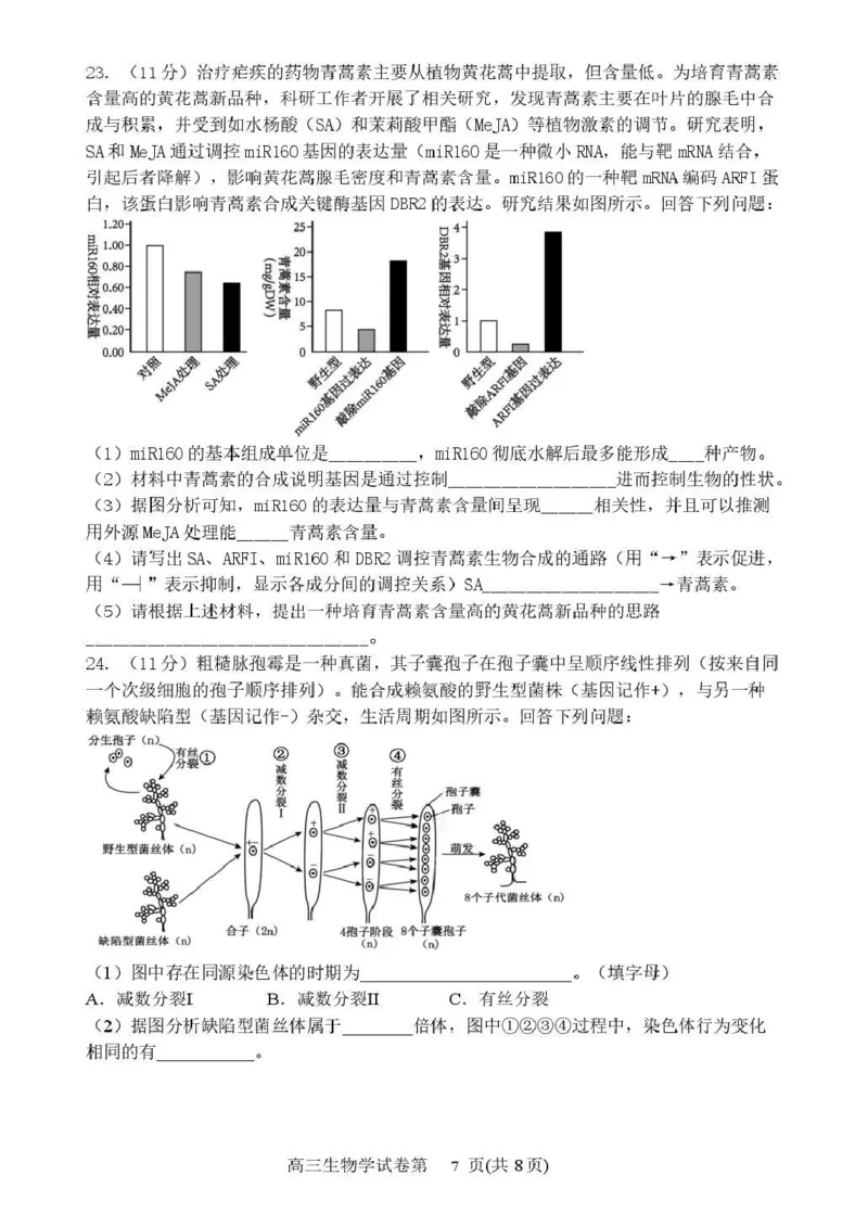 丹东市2026届高三总复习阶段测试生物_251106辽宁省丹东市2026届高三上学期总复习阶段测试（全科）_辽宁省丹东市2026届高三上学期总复习阶段测试生物