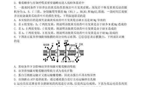 丹东市2026届高三总复习阶段测试生物_251106辽宁省丹东市2026届高三上学期总复习阶段测试（全科）_辽宁省丹东市2026届高三上学期总复习阶段测试生物