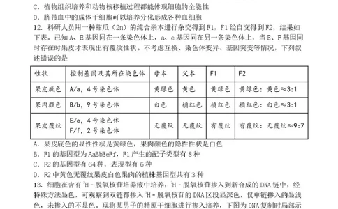 丹东市2026届高三总复习阶段测试生物_251106辽宁省丹东市2026届高三上学期总复习阶段测试（全科）_辽宁省丹东市2026届高三上学期总复习阶段测试生物