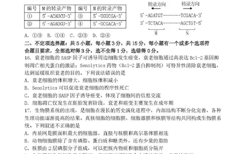 丹东市2026届高三总复习阶段测试生物_251106辽宁省丹东市2026届高三上学期总复习阶段测试（全科）_辽宁省丹东市2026届高三上学期总复习阶段测试生物