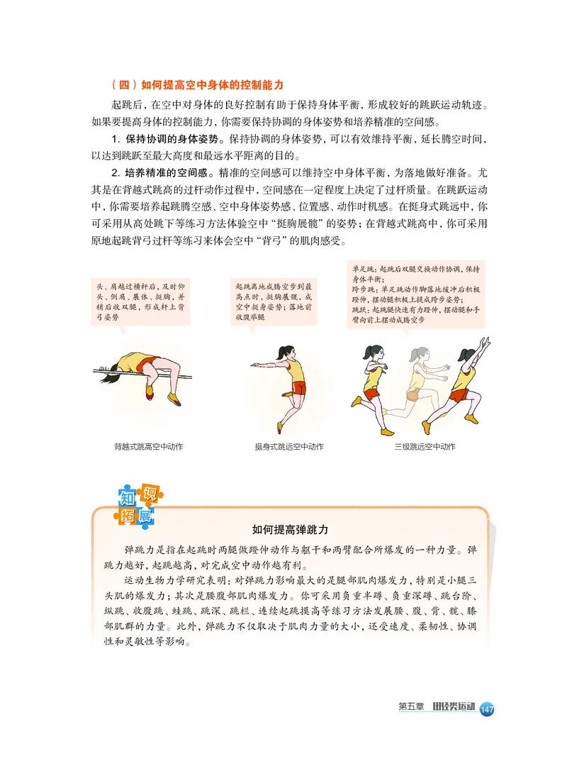 沪教版体育全一册高清教材_4-教培资料-26年最新资料-同步更新_初中高中教资_03科三专项（进去保存报考的学科即可）_02科三专项（笔记真题思维导图教学设计版本二）