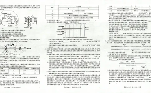 广西省2025届高三上学期12月联考（26-182C）生物_2025年12月_251228金太阳&middot;广西省2025届高三上学期12月联考（26-182C）（全科）