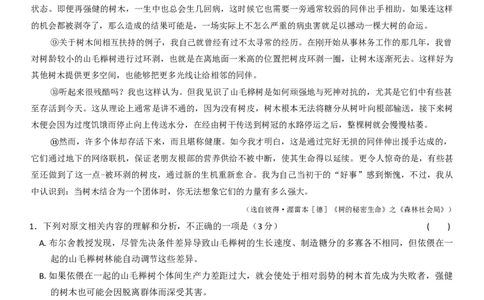 语文_251106九师联盟2025-2026学年高三上学期11月第三次质量检测（期中）考试_河南省九师联盟2025-2026学年高三上学期11月第三次质量检测（期中）考试语文试题（含答案）