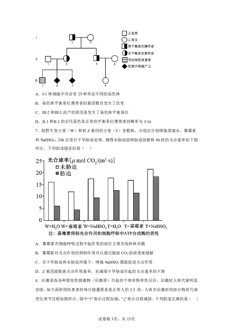 生物+答案江苏省南京市秦淮区南京市中华中学2025-2026学年高三上学期10月月考生物试题-A4答案卷尾_251104江苏省南京市中华中学2025-2026学年高三上学期10月月考（全科）