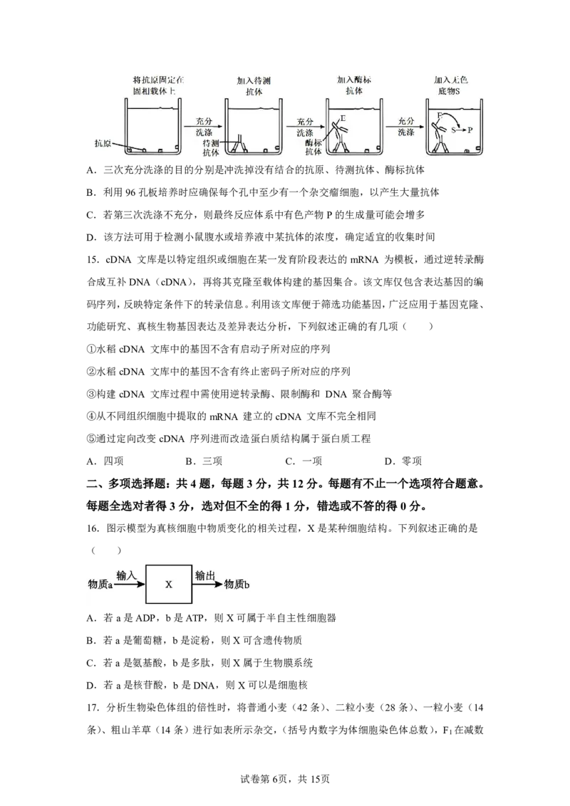生物+答案江苏省南京市秦淮区南京市中华中学2025-2026学年高三上学期10月月考生物试题-A4答案卷尾_251104江苏省南京市中华中学2025-2026学年高三上学期10月月考（全科）