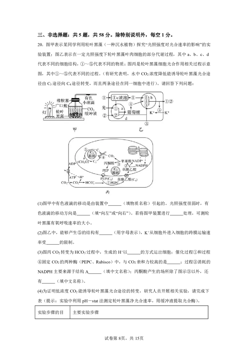 生物+答案江苏省南京市秦淮区南京市中华中学2025-2026学年高三上学期10月月考生物试题-A4答案卷尾_251104江苏省南京市中华中学2025-2026学年高三上学期10月月考（全科）