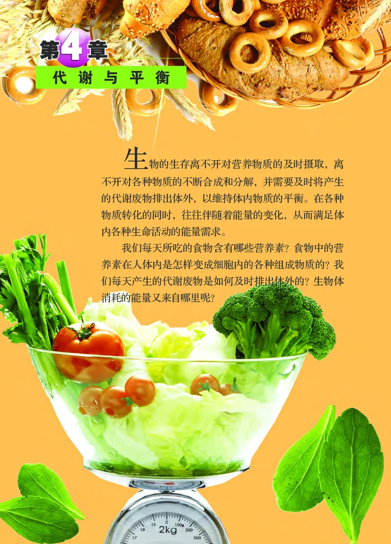 浙教版9年级科学上册高清教材_4-教培资料-26年最新资料-同步更新_初中高中教资_03科三专项（进去保存报考的学科即可）_02科三专项（笔记真题思维导图教学设计版本二）