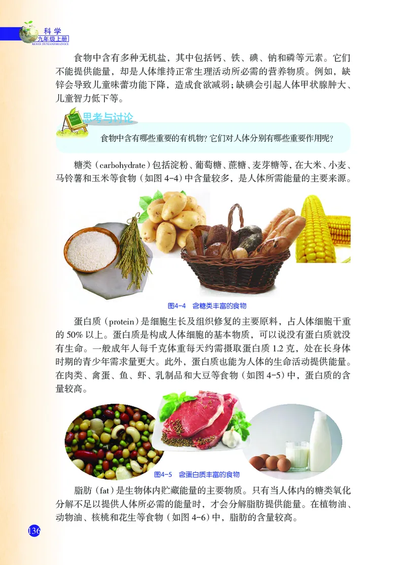 浙教版9年级科学上册高清教材_4-教培资料-26年最新资料-同步更新_初中高中教资_03科三专项（进去保存报考的学科即可）_02科三专项（笔记真题思维导图教学设计版本二）