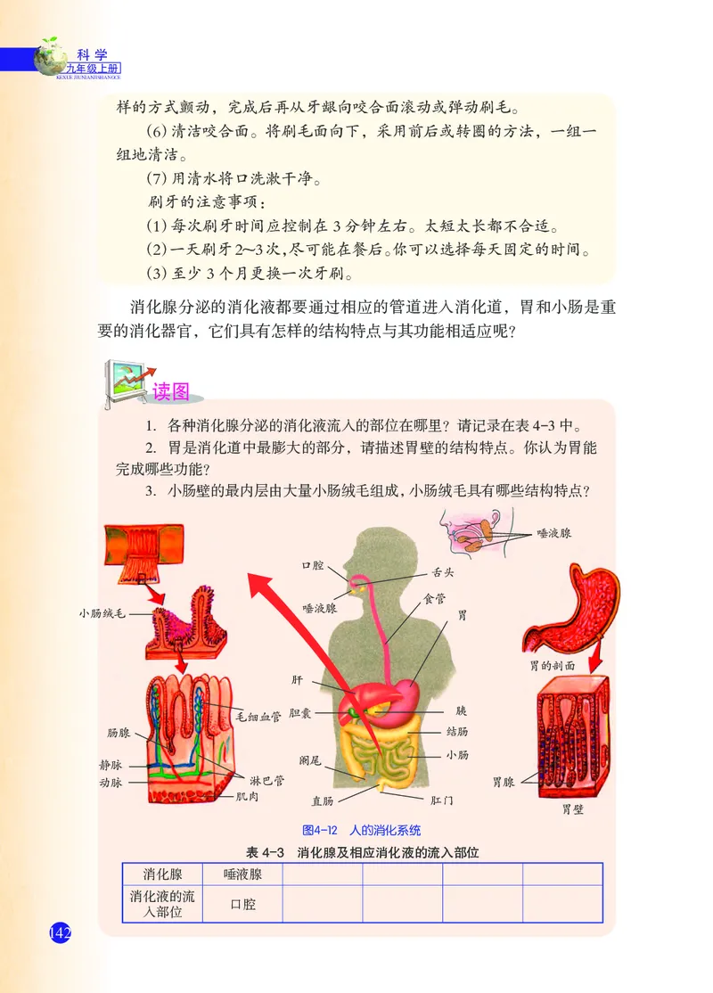 浙教版9年级科学上册高清教材_4-教培资料-26年最新资料-同步更新_初中高中教资_03科三专项（进去保存报考的学科即可）_02科三专项（笔记真题思维导图教学设计版本二）