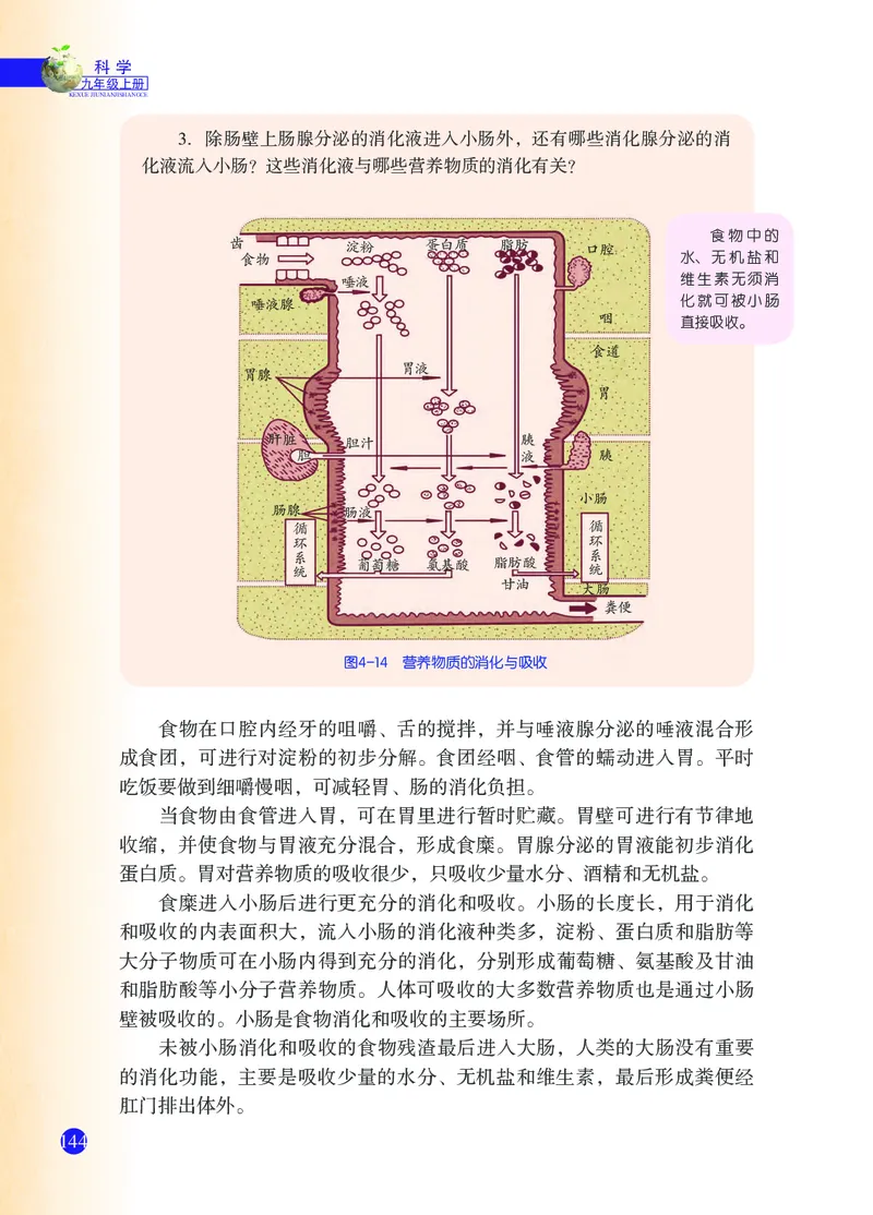 浙教版9年级科学上册高清教材_4-教培资料-26年最新资料-同步更新_初中高中教资_03科三专项（进去保存报考的学科即可）_02科三专项（笔记真题思维导图教学设计版本二）