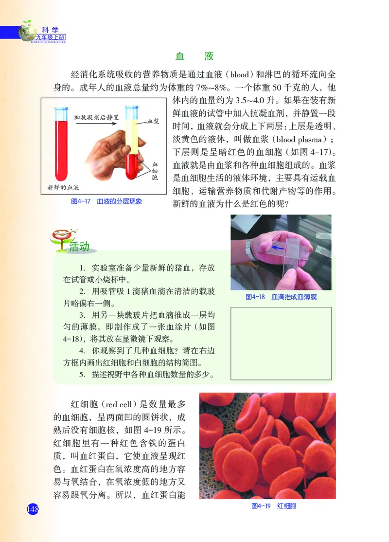 浙教版9年级科学上册高清教材_4-教培资料-26年最新资料-同步更新_初中高中教资_03科三专项（进去保存报考的学科即可）_02科三专项（笔记真题思维导图教学设计版本二）