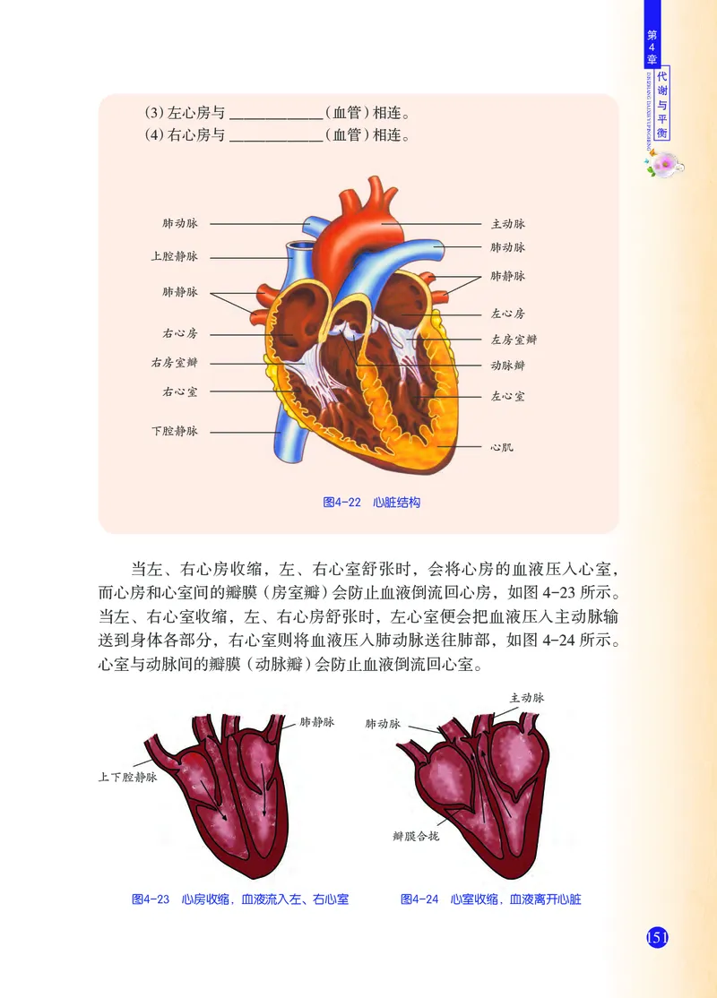 浙教版9年级科学上册高清教材_4-教培资料-26年最新资料-同步更新_初中高中教资_03科三专项（进去保存报考的学科即可）_02科三专项（笔记真题思维导图教学设计版本二）