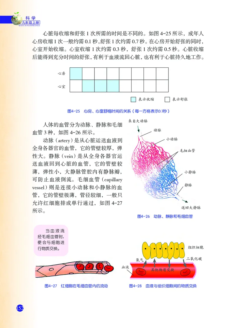浙教版9年级科学上册高清教材_4-教培资料-26年最新资料-同步更新_初中高中教资_03科三专项（进去保存报考的学科即可）_02科三专项（笔记真题思维导图教学设计版本二）