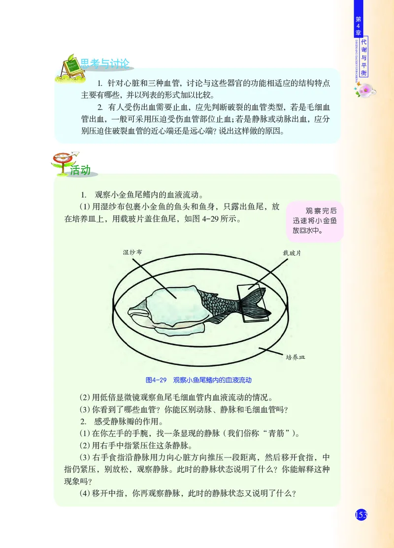 浙教版9年级科学上册高清教材_4-教培资料-26年最新资料-同步更新_初中高中教资_03科三专项（进去保存报考的学科即可）_02科三专项（笔记真题思维导图教学设计版本二）