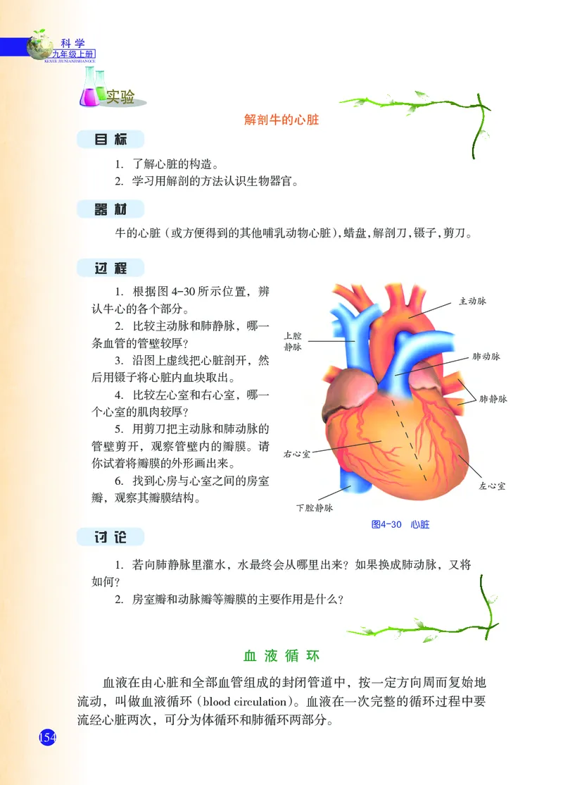 浙教版9年级科学上册高清教材_4-教培资料-26年最新资料-同步更新_初中高中教资_03科三专项（进去保存报考的学科即可）_02科三专项（笔记真题思维导图教学设计版本二）