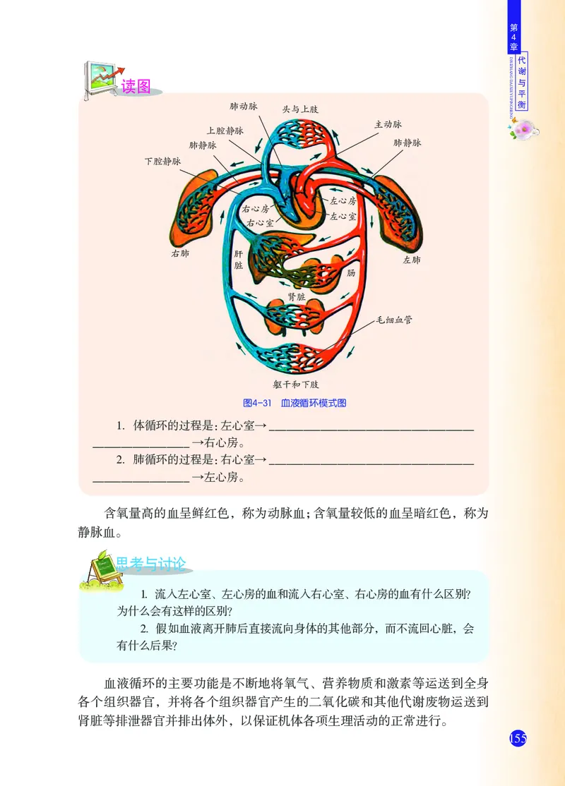 浙教版9年级科学上册高清教材_4-教培资料-26年最新资料-同步更新_初中高中教资_03科三专项（进去保存报考的学科即可）_02科三专项（笔记真题思维导图教学设计版本二）