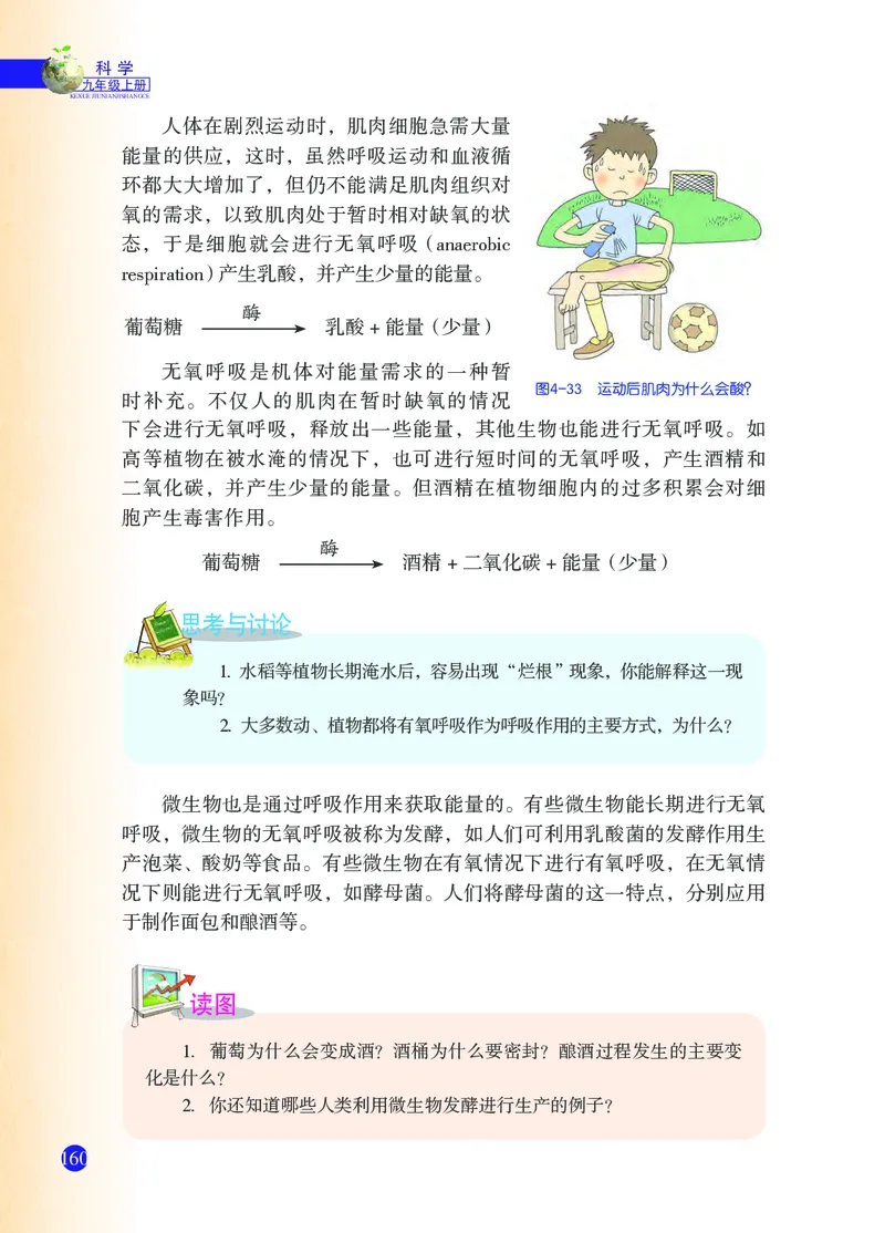 浙教版9年级科学上册高清教材_4-教培资料-26年最新资料-同步更新_初中高中教资_03科三专项（进去保存报考的学科即可）_02科三专项（笔记真题思维导图教学设计版本二）