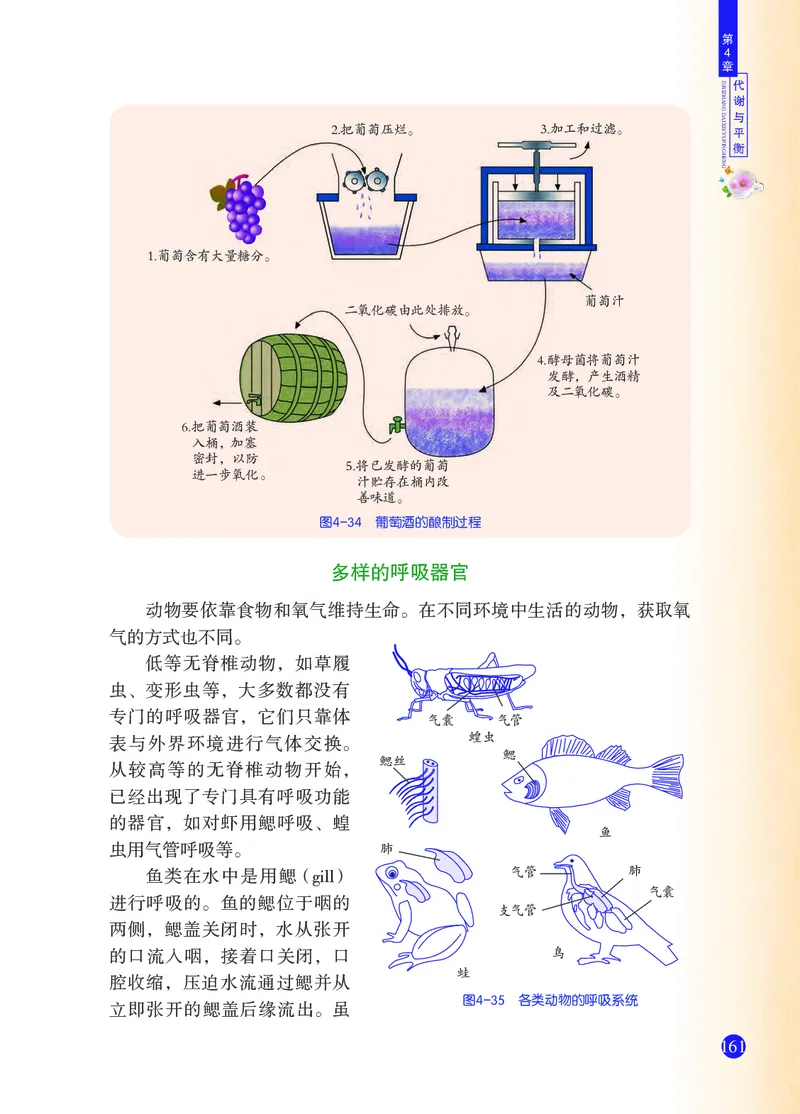 浙教版9年级科学上册高清教材_4-教培资料-26年最新资料-同步更新_初中高中教资_03科三专项（进去保存报考的学科即可）_02科三专项（笔记真题思维导图教学设计版本二）