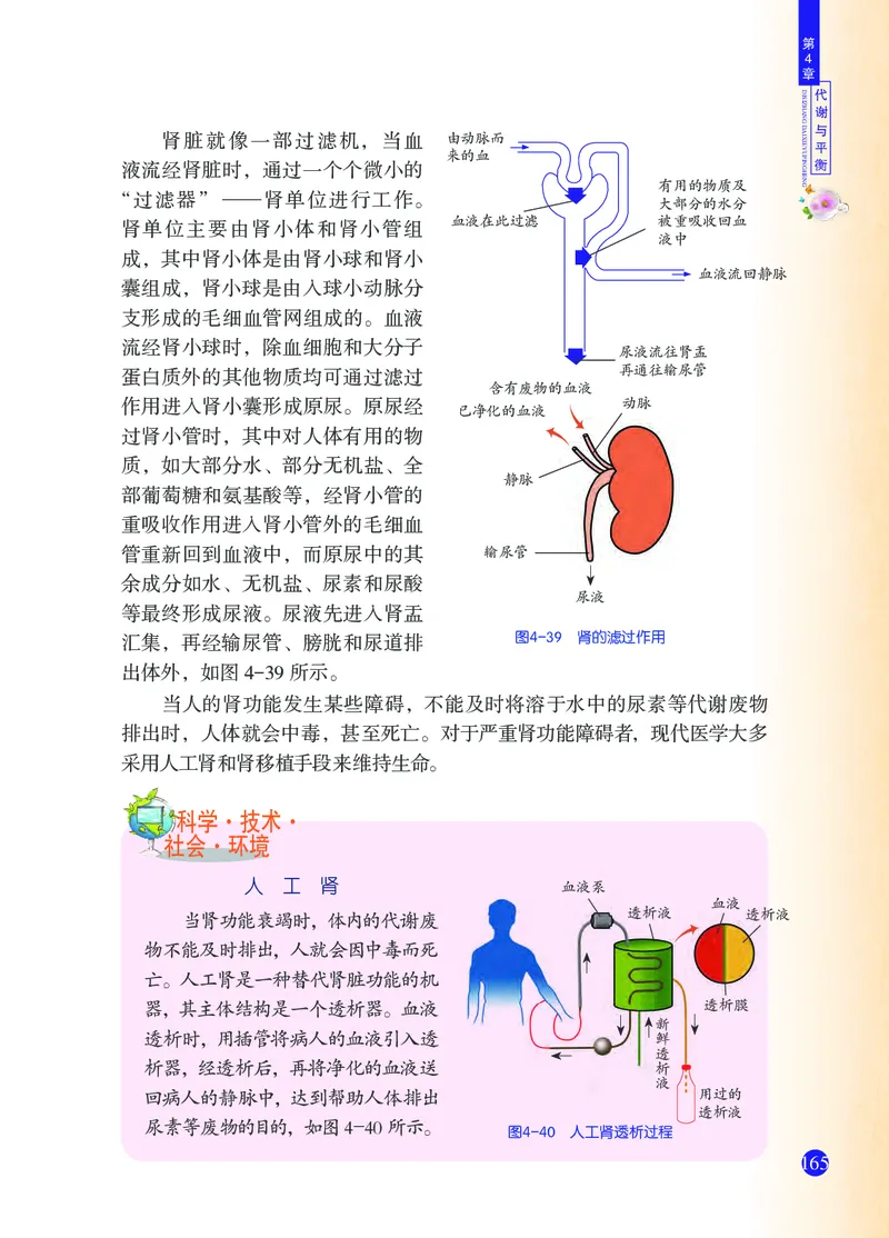 浙教版9年级科学上册高清教材_4-教培资料-26年最新资料-同步更新_初中高中教资_03科三专项（进去保存报考的学科即可）_02科三专项（笔记真题思维导图教学设计版本二）