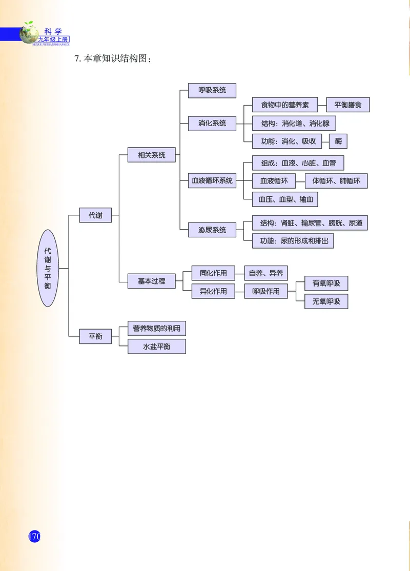 浙教版9年级科学上册高清教材_4-教培资料-26年最新资料-同步更新_初中高中教资_03科三专项（进去保存报考的学科即可）_02科三专项（笔记真题思维导图教学设计版本二）